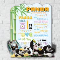 Bảng thông tin thôi nôi chủ đề Gấu Trúc Panda