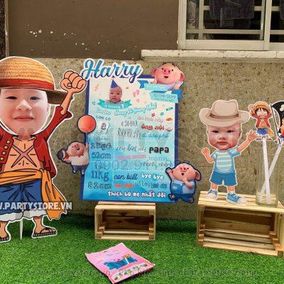 Set trang trí sinh nhật chủ đề Heo Con - bé Harry
