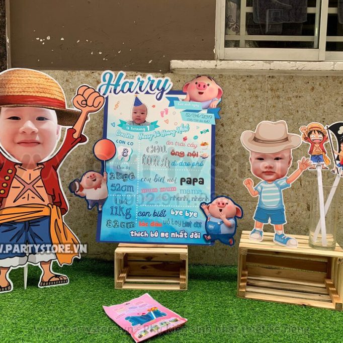 Set trang trí sinh nhật chủ đề Heo Con - bé Harry